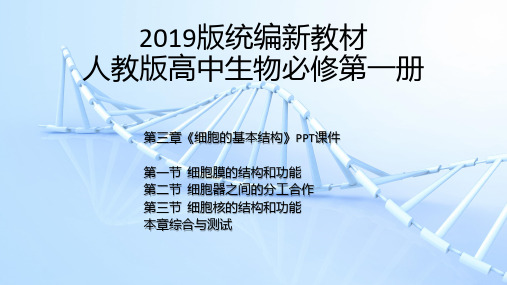 【2019版新教材】统编人教版高中生物必修第一册第三章《细胞的基本结构》全章节PPT课件含章末综合3.1-3.3