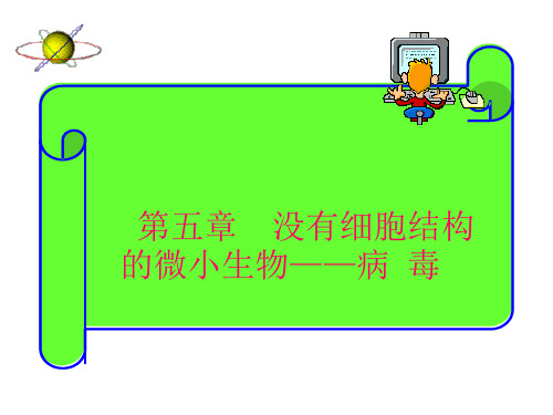 人教版八年级生物上册  第四单元第五章   病毒(21张PPT)