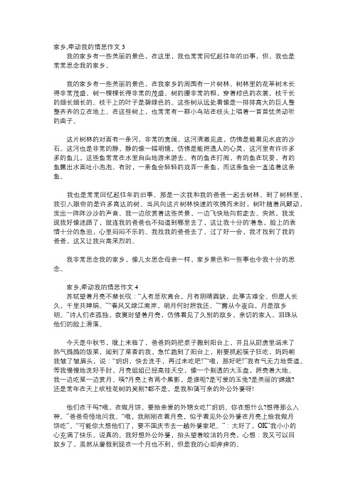 家乡,牵动我的情思作文