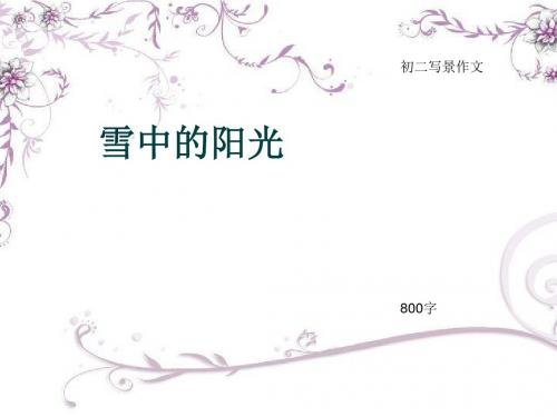 初二写景作文《雪中的阳光》800字(总10页PPT)