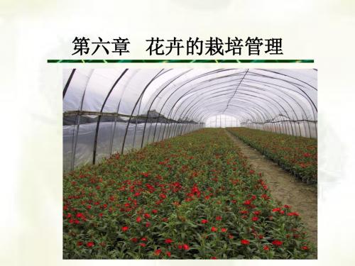 8 第六章 花卉的栽培管理