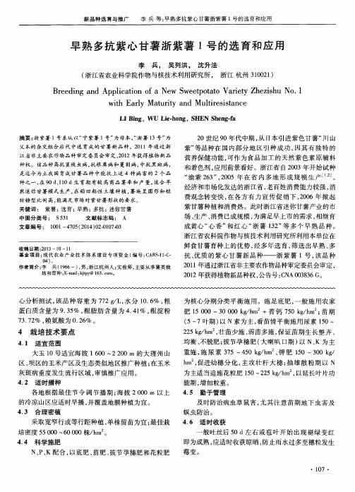 早熟多抗紫心甘薯浙紫薯1号的选育和应用