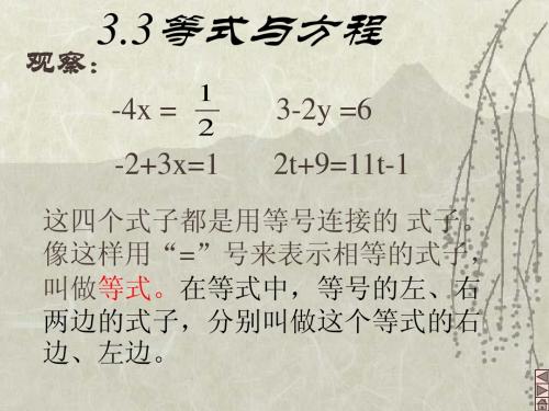 3.3 等式与方程