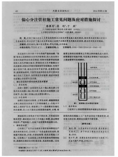 偏心分注管柱施工常见问题及应对措施探讨