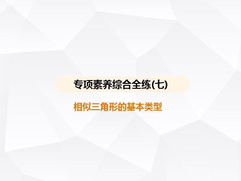 北师大版初中九年级数学上册专项素养综合练(七)相似三角形的基本类型课件