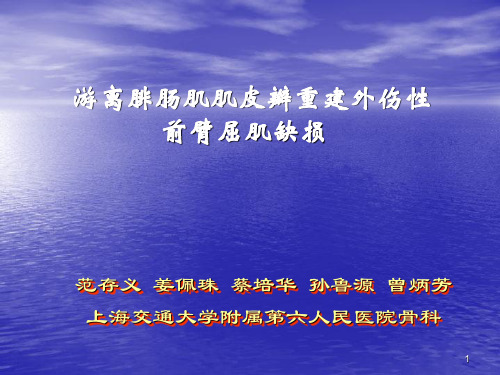 肠肌肌皮瓣重建外伤性前臂屈肌-PPT课件