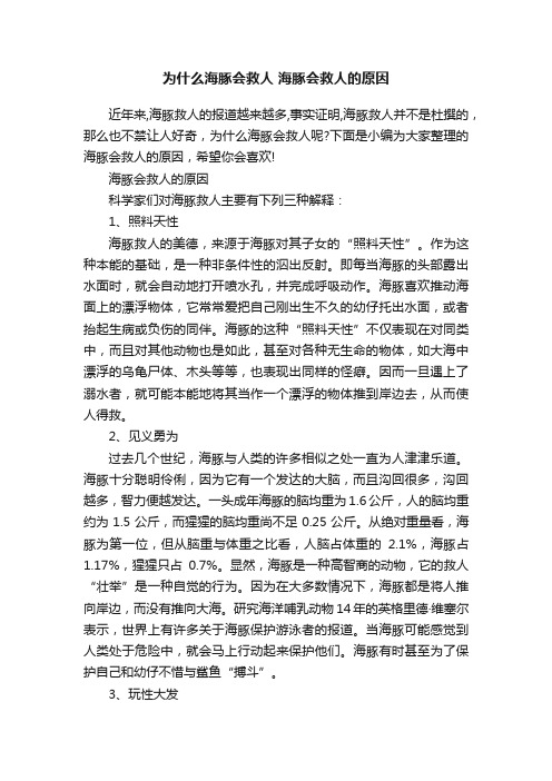 为什么海豚会救人海豚会救人的原因