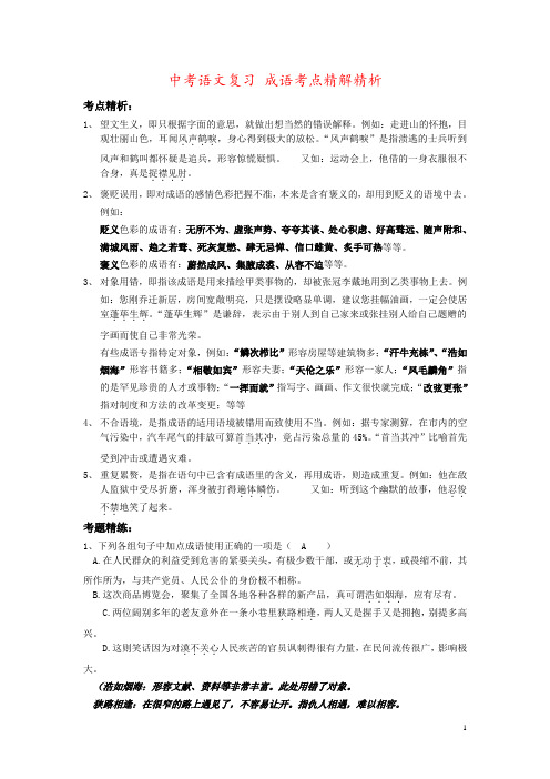 中考语文复习 成语考点精解精析