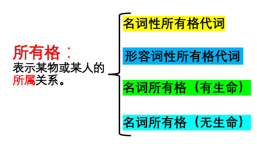 所有格代词和名词所有格