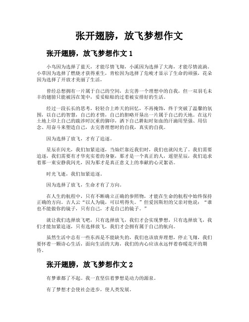 张开翅膀放飞梦想作文