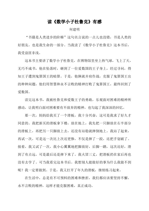 读《数学小子杜鲁克》有感