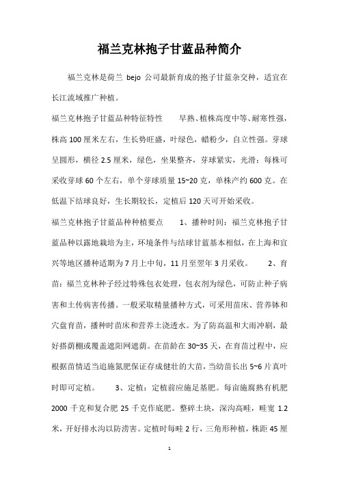福兰克林抱子甘蓝品种简介