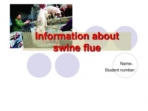 swine flu[1]