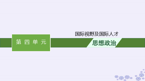 2025届高考政治一轮总复习选择性必修1综合探究国际视野及国际人才课件