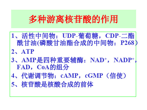 嘌呤核苷酸的全程合成