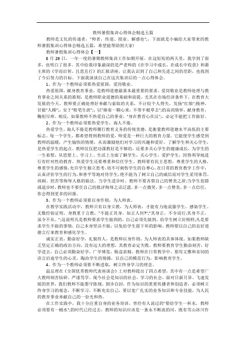 教师暑假集训心得体会精选五篇