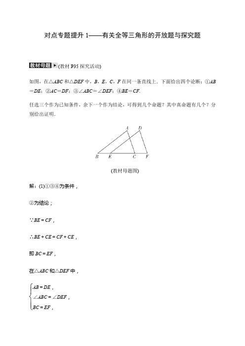 2019秋浙教版八年级上册数学同步测试试题：对点专题提升1——有关全等三角形的开放题与探究题