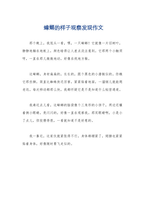 蟑螂的样子观察发现作文