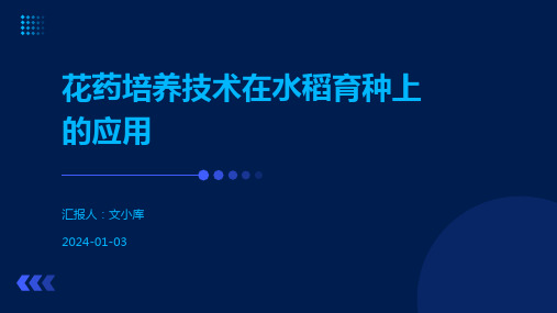 花药培养技术在水稻育种上的应用