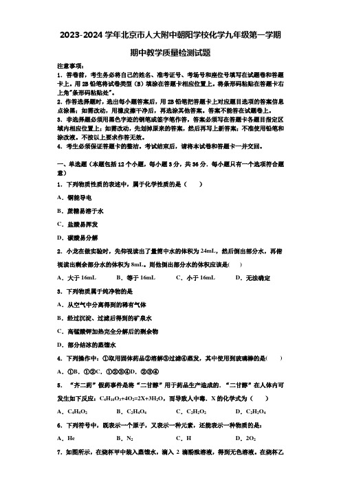 2023-2024学年北京市人大附中朝阳学校化学九年级第一学期期中教学质量检测试题含解析