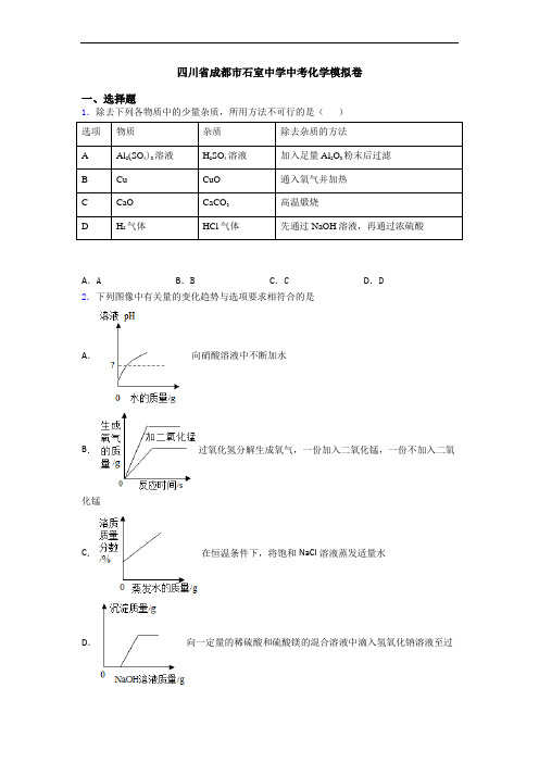 四川省成都市石室中学中考化学模拟卷