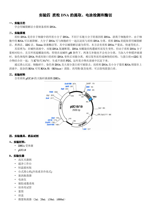 实验四 质粒DNA的提取