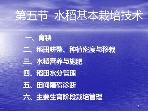 水稻基本栽培技术PPT课件