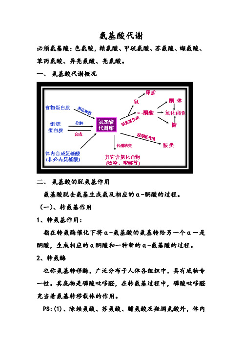 氨基酸代谢