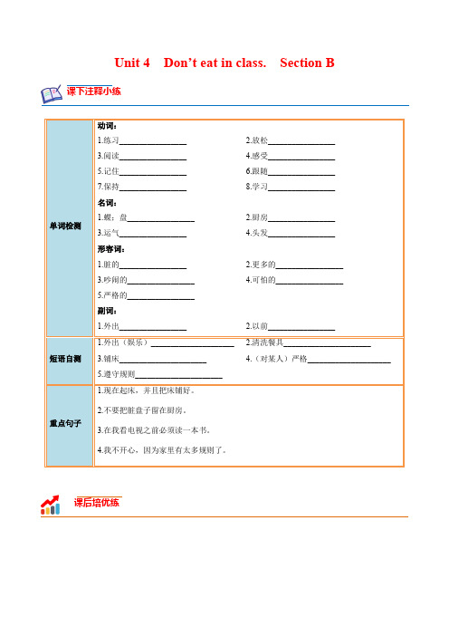 Unit 4 Section B-2022-2023学年七年级英语下册课后培优分级练(人教版)(原卷