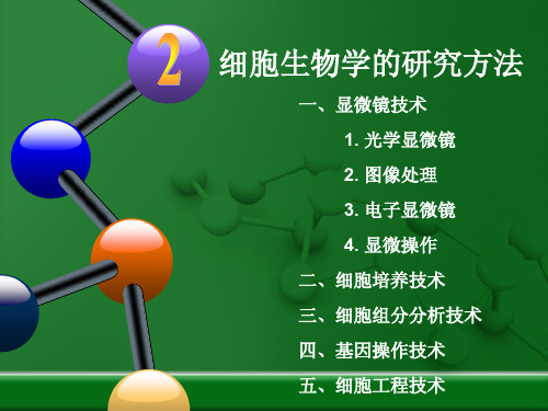 细胞生物学2细胞生物学技术