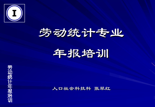 统计报表指标解释