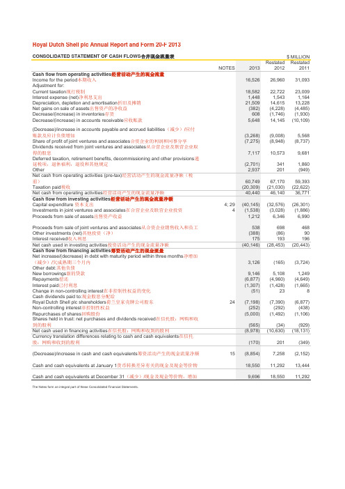 壳牌合并现金流量表