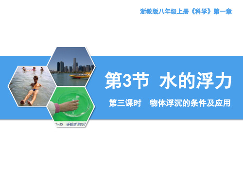 【新版】浙教版科学八年级上册《水的浮力》第三课时【创新课件】
