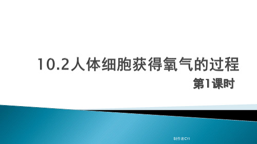 北师大版7年级生物下册10.2人体细胞获得氧气的过程第1课时课件(18张PPT)