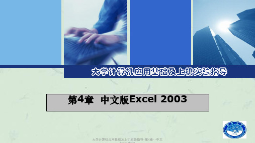 大学计算机应用基础及上机实验指导-第4章--中文Excel-2003课件