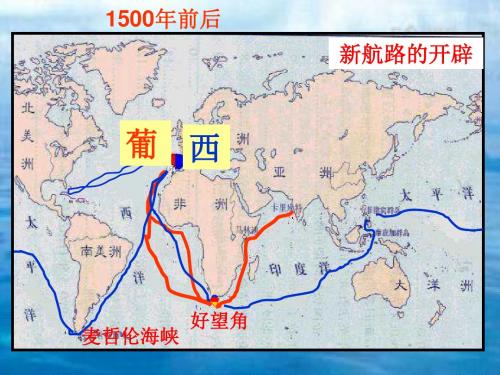 北师大版《“解放者”的风采》ppt实用课件5