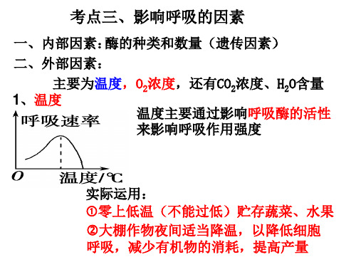 高中生物课件-影响细胞呼吸的因素及实验