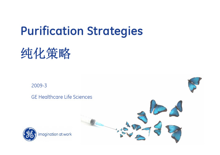 GE公司培训讲义—纯化策略