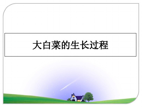 最新大白菜的生长过程教学讲义PPT课件