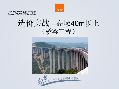 造价实战--高墩40m以上(桥梁工程)