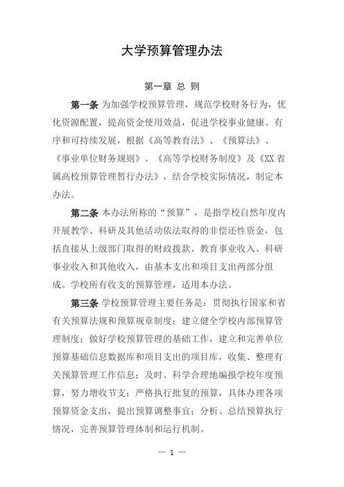 大学预算管理办法