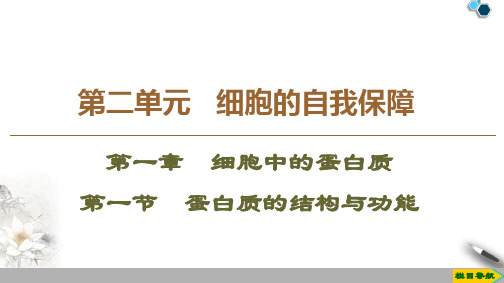 2019-2020沪科版生物必修1 第2单元 第1章 第1节 蛋白质的结构与功能课件PPT