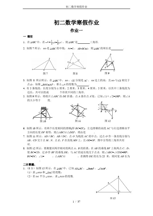 初二数学寒假作业