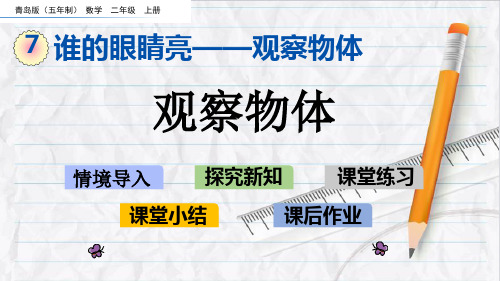 2023年青岛版(五年制)数学二年级上册7观察物体