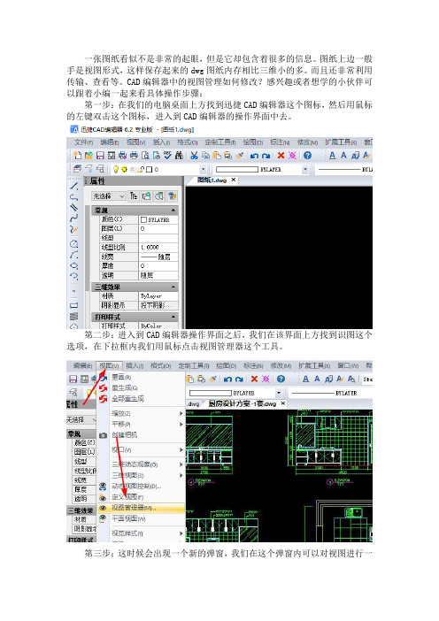 CAD编辑器中的视图管理如何修改？