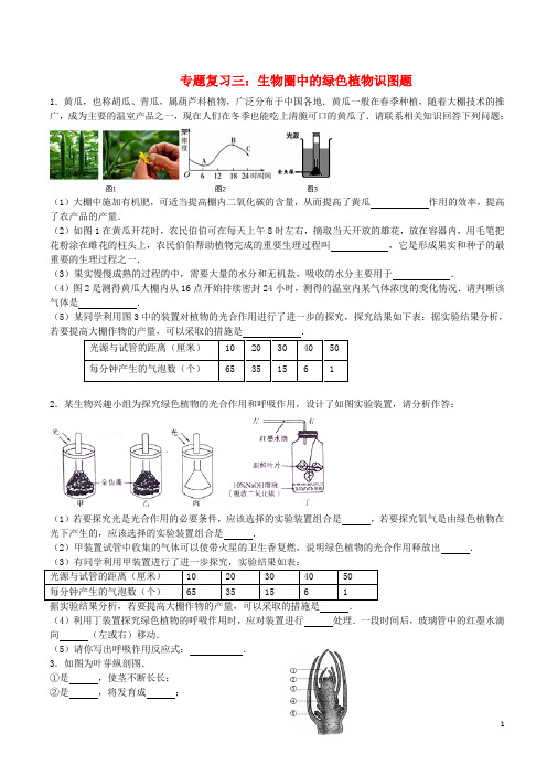 中考生物精选识图 专题复习三 生物圈中的绿色植物