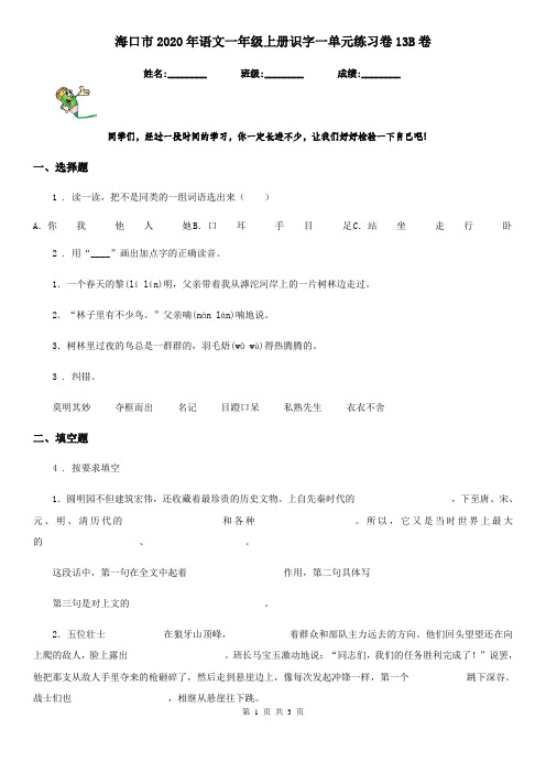 海口市2020年语文一年级上册识字一单元练习卷13B卷