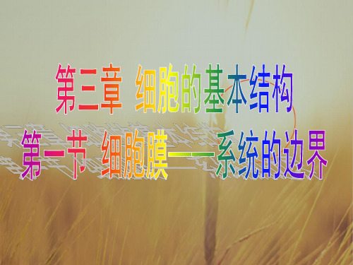 必修一生物3.1细胞膜系统的边界课件 共27张