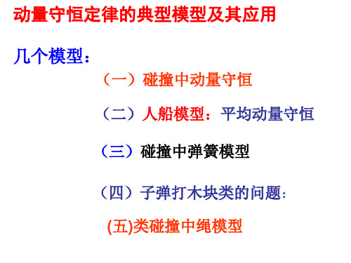 2019年高考物理复习：动量守恒定律的典型模型