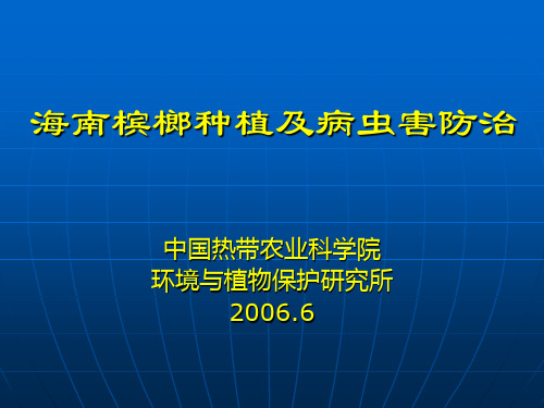 科技下乡重视海南槟榔黄化病的发生1